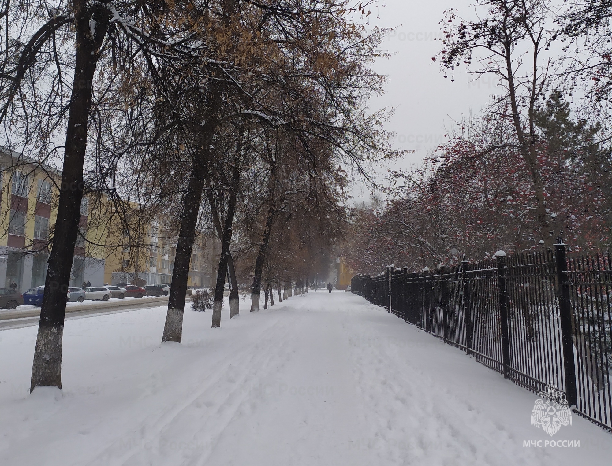 Кемеровский гидрометцентр