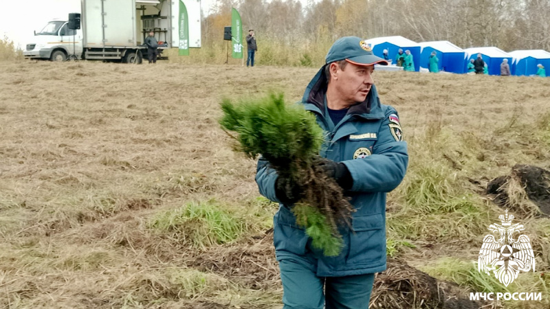 Сотрудники МЧС России приняли участие во Всероссийской экологической акции «Сохраним лес»